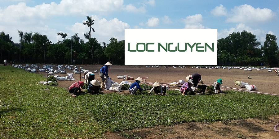 Dịch vụ trồng cỏ cho KCN Long An