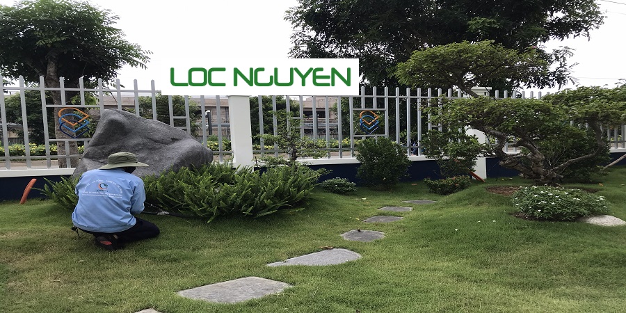 Dịch vụ cây xanh Long An
