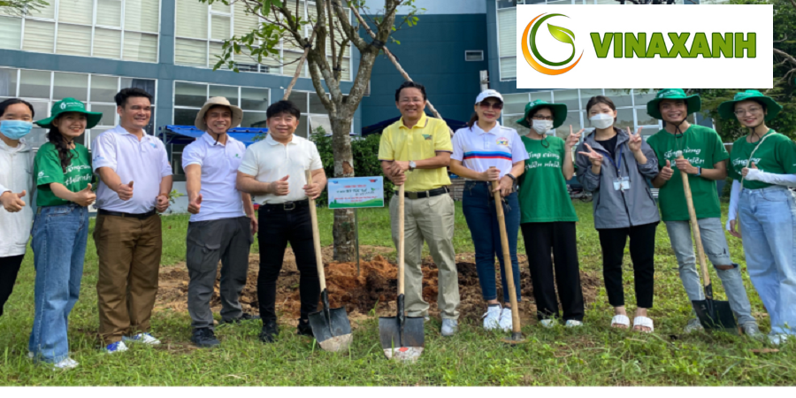 Trồng cây xanh tại quận 8 TP.HCM