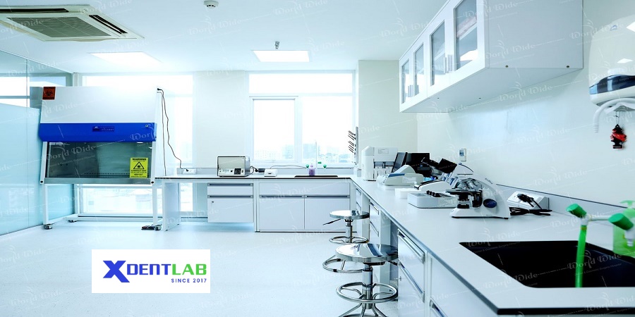 Vietnam Dental Laboratories District 11 Ho Chi Minh City