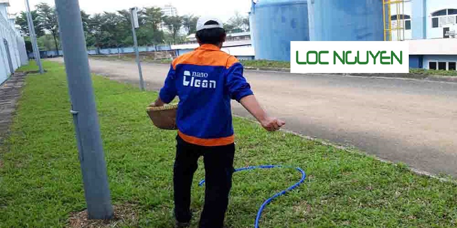 Công Ty Chăm Sóc Cây Xanh Tại Gò Dầu Long An