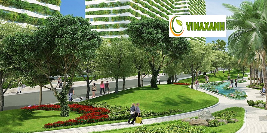 Cung Cấp Cây Xanh Tại Quận 3 TPHCM