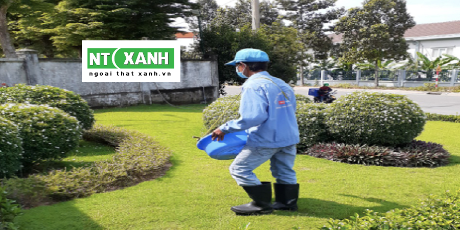 Dịch Vụ Trồng Cây Xanh Tại Bến Lức Long An