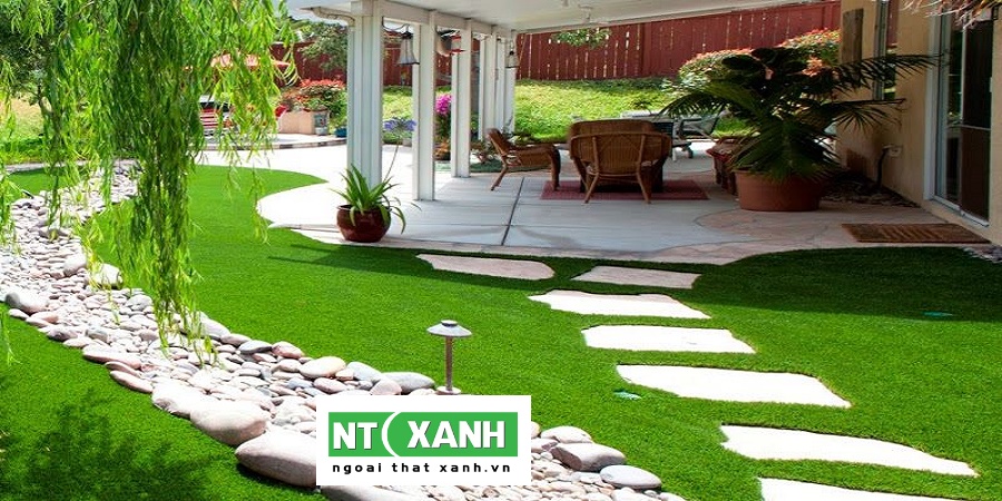 Dịch Vụ Trồng Cỏ Sân Vườn Bình Dương