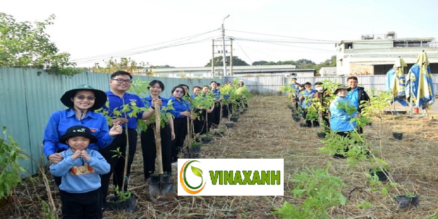 Trồng Cây Xanh TP.HCM