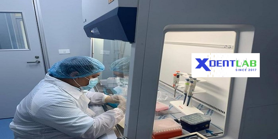 Lab to Lab Services