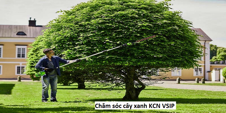 Chăm sóc cây xanh KCN VSIP