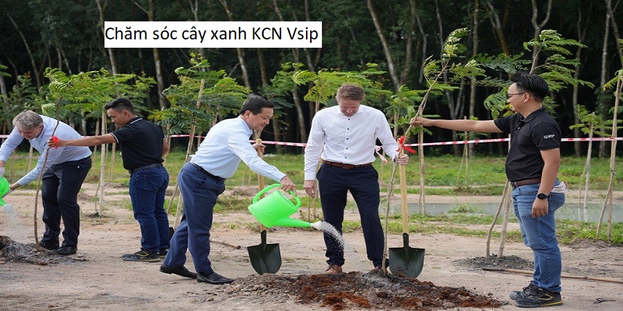 Chăm sóc cây xanh KCN Vsip